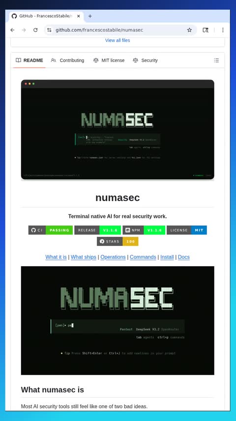 Video preview for francescostabile/numasec