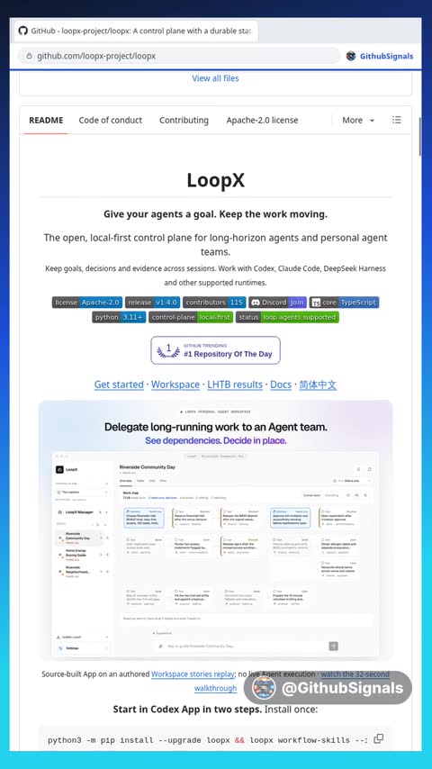 Video preview for loopx-project/loopx