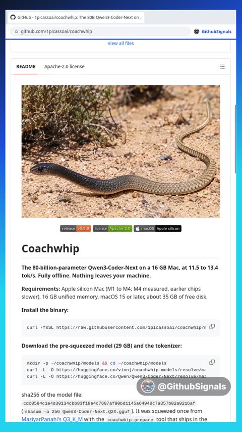 Video preview for 1picassoai/coachwhip