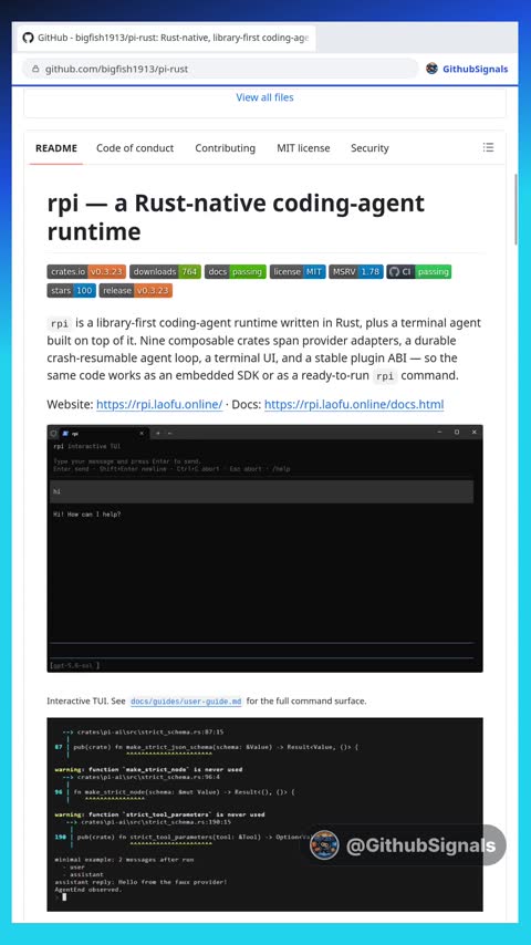Video preview for bigfish1913/pi-rust