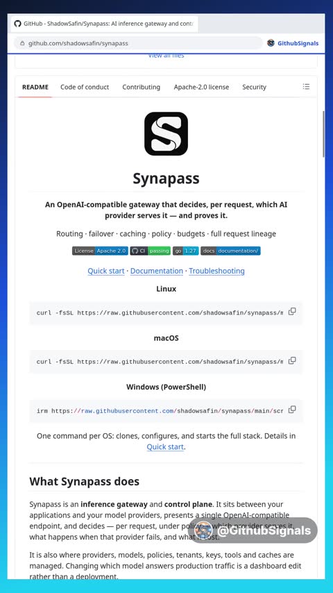 Video preview for shadowsafin/synapass