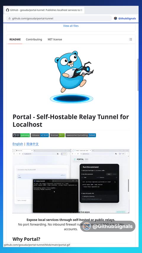 Video preview for gosuda/portal-tunnel