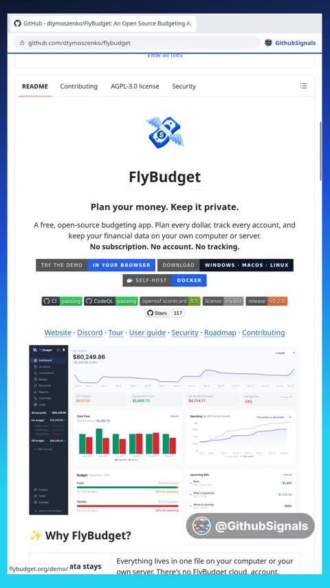Video preview for dtymoszenko/flybudget