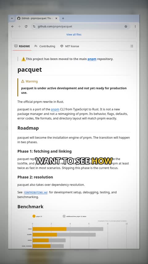 Video preview for pnpm/pacquet