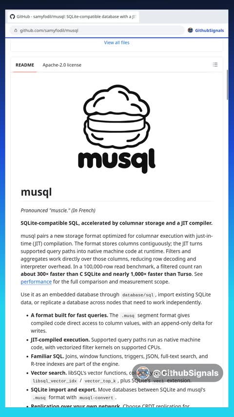 Video preview for samyfodil/musql