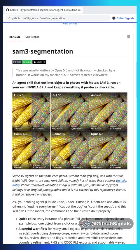 Video preview for lillyguisnet/sam3-segmentation