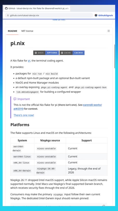Video preview for lukasl-dev/pi.nix