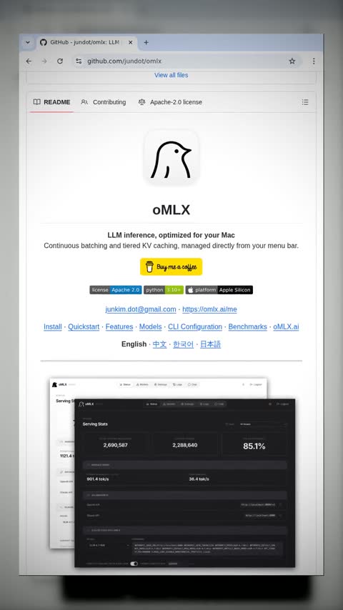 Video preview for jundot/omlx