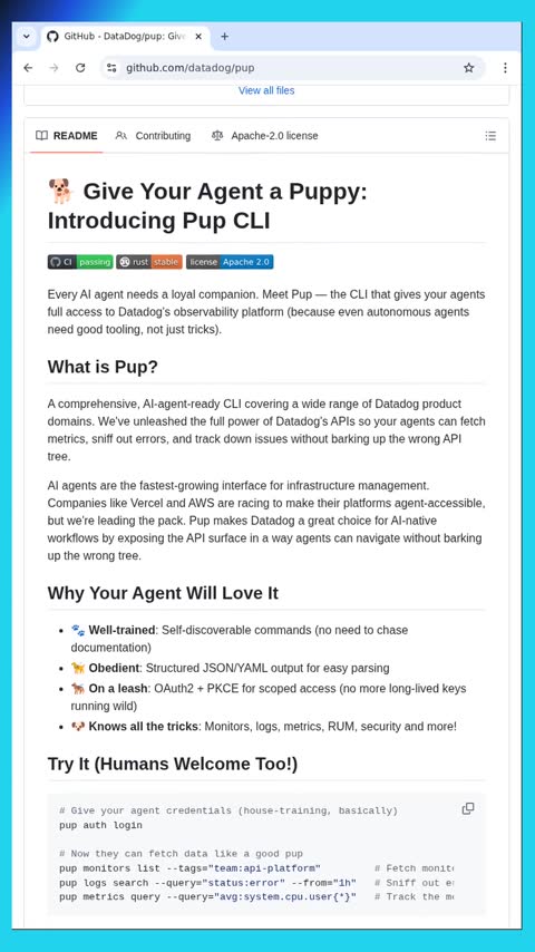 Video preview for datadog/pup