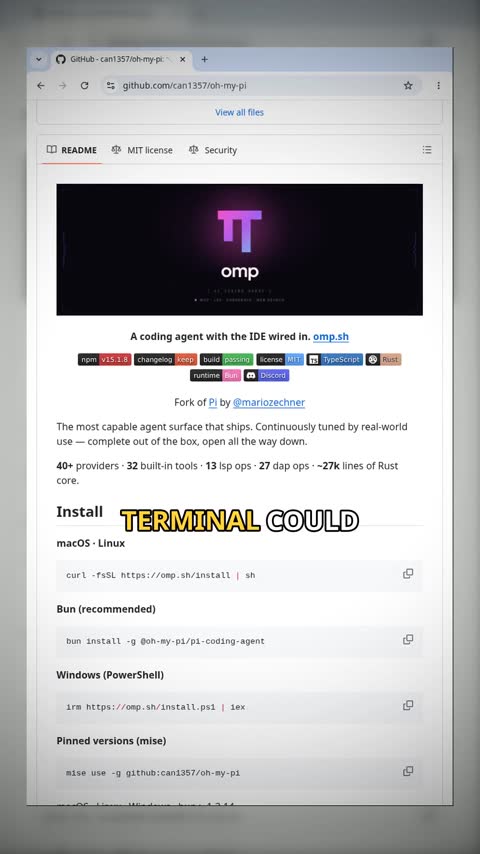 Video preview for can1357/oh-my-pi