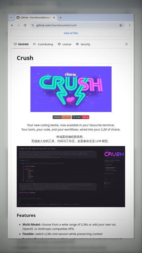 Video preview for charmbracelet/crush
