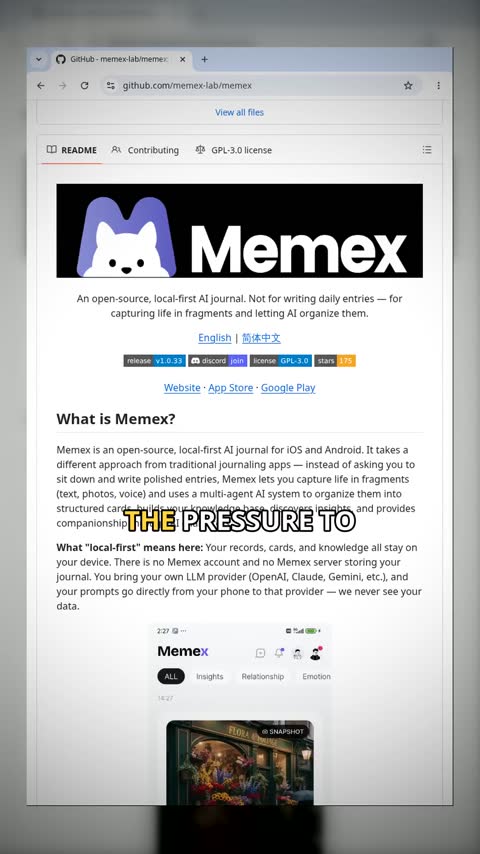Video preview for memex-lab/memex