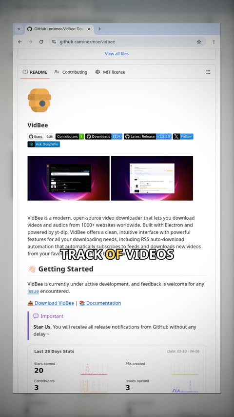 Video preview for nexmoe/vidbee