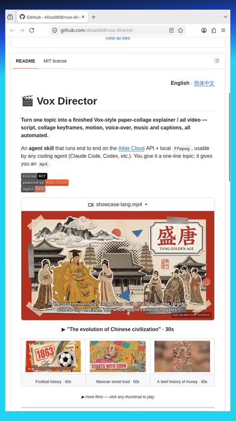 Video preview for alisa0808/vox-director