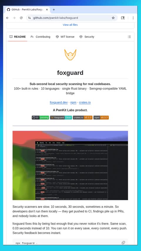 Video preview for 0sec-labs/foxguard