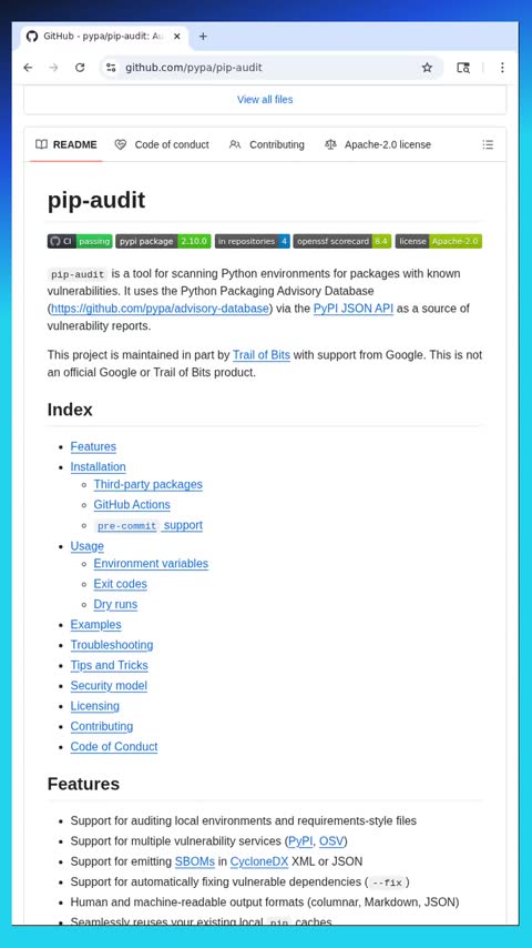 Video preview for pypa/pip-audit