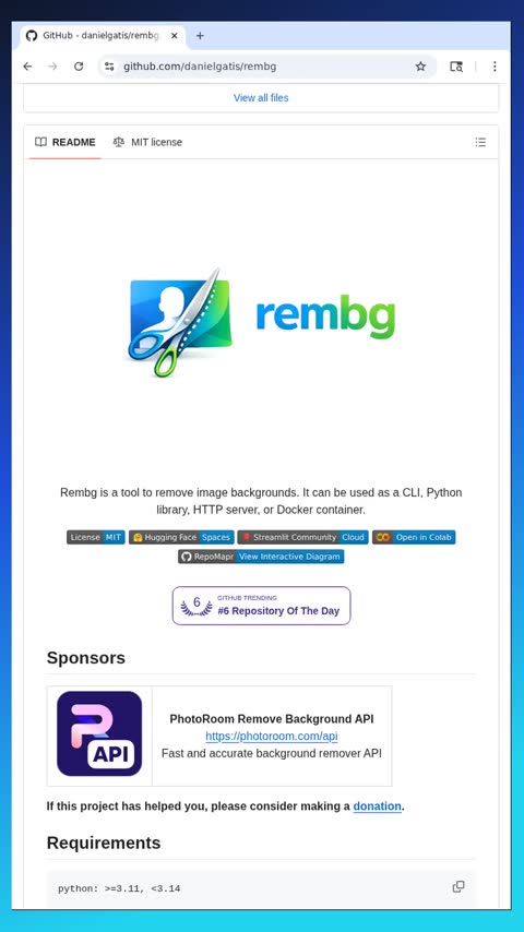 Video preview for danielgatis/rembg