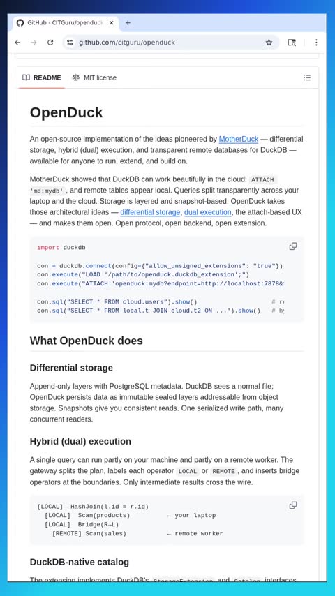 Video preview for citguru/openduck