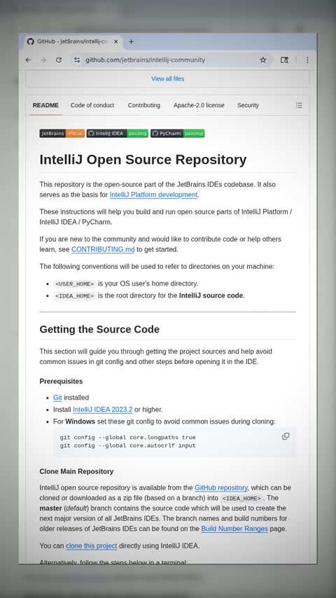 Video preview for jetbrains/intellij-community